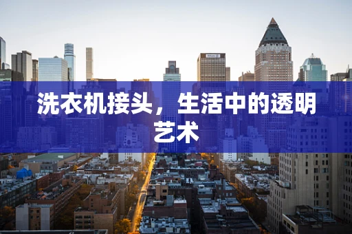 洗衣机接头，生活中的透明艺术