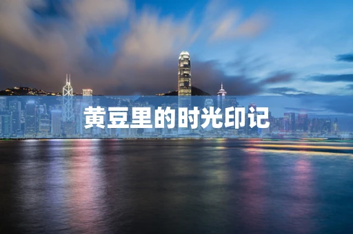 黄豆里的时光印记