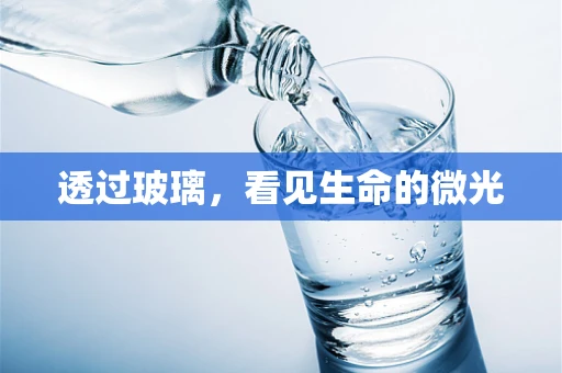 透过玻璃，看见生命的微光