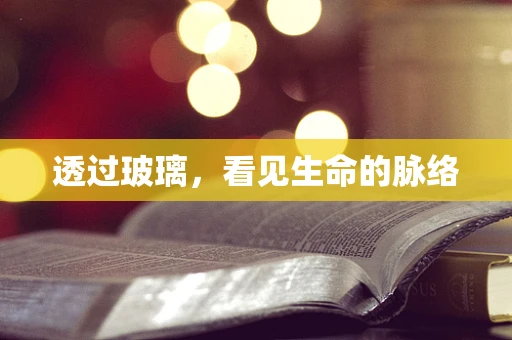透过玻璃，看见生命的脉络