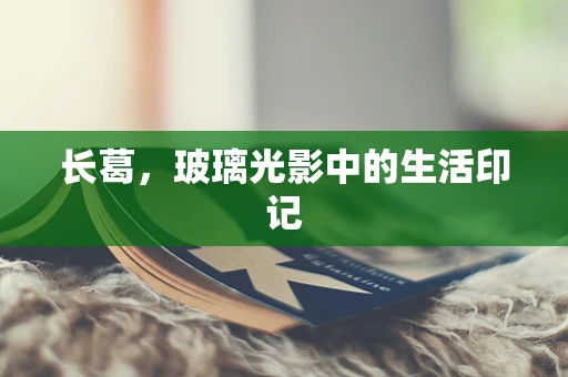 长葛，玻璃光影中的生活印记