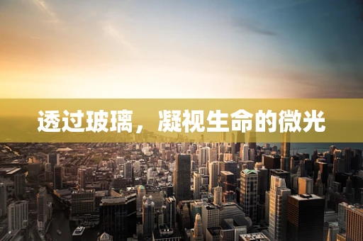 透过玻璃，凝视生命的微光