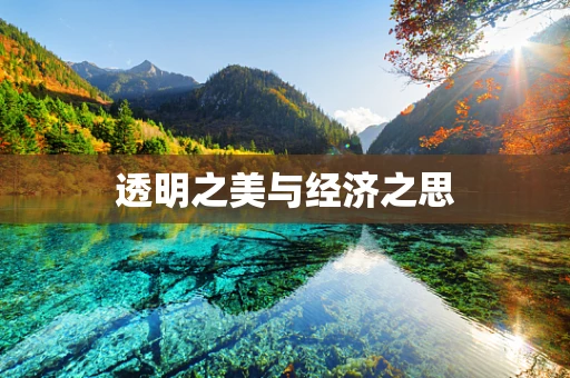 透明之美与经济之思