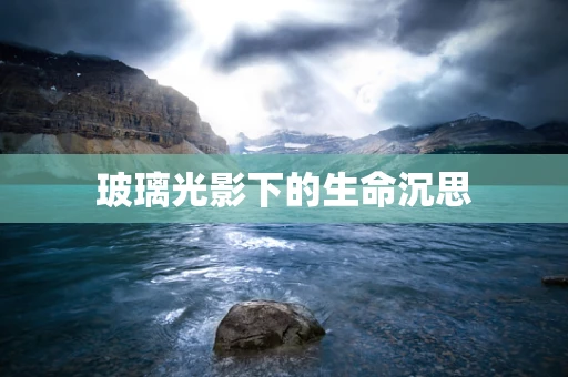 玻璃光影下的生命沉思
