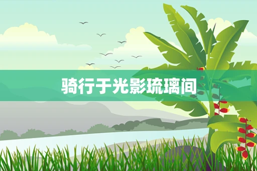 骑行于光影琉璃间