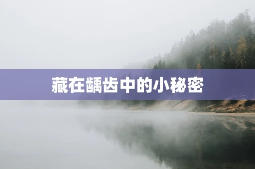 藏在龋齿中的小秘密