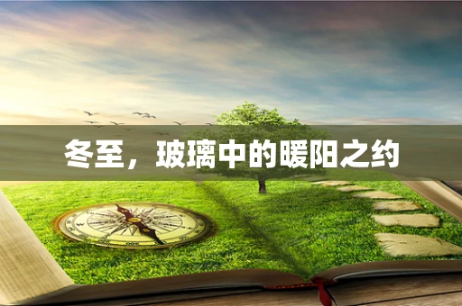 冬至，玻璃中的暖阳之约