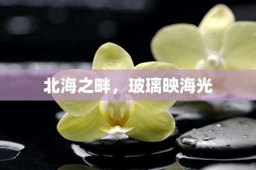 北海之畔，玻璃映海光