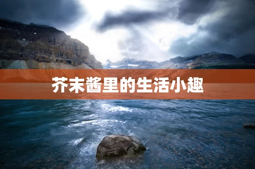 芥末酱里的生活小趣