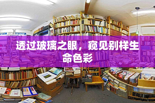 透过玻璃之眼，窥见别样生命色彩