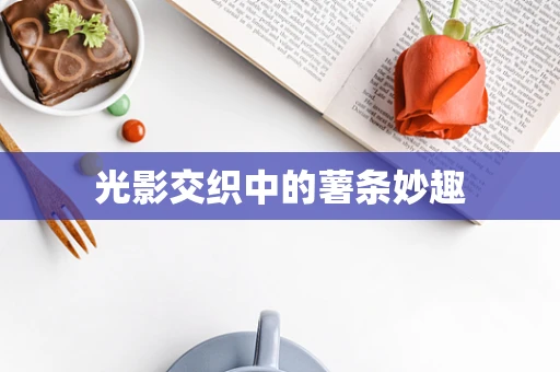 光影交织中的薯条妙趣