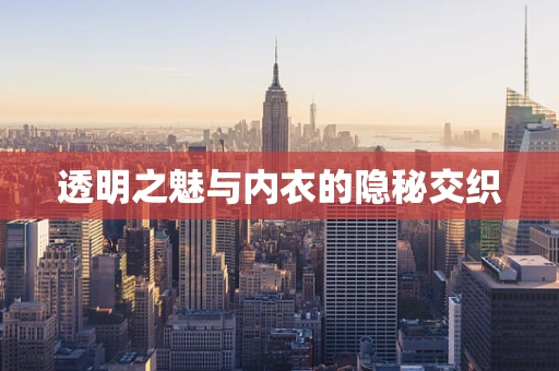 透明之魅与内衣的隐秘交织