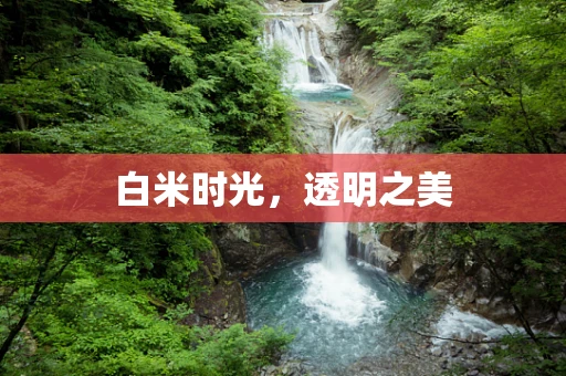 白米时光，透明之美