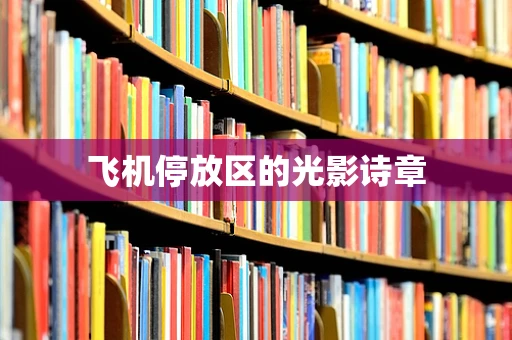 飞机停放区的光影诗章