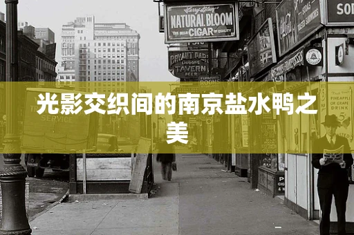 光影交织间的南京盐水鸭之美