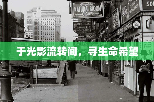 于光影流转间，寻生命希望