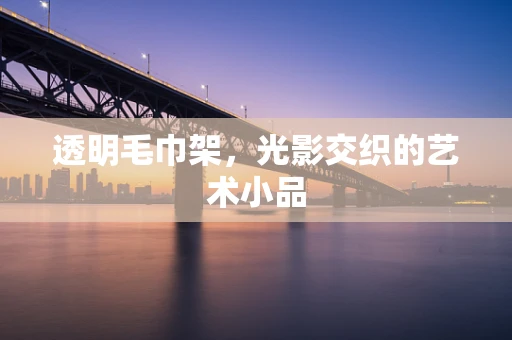 透明毛巾架，光影交织的艺术小品