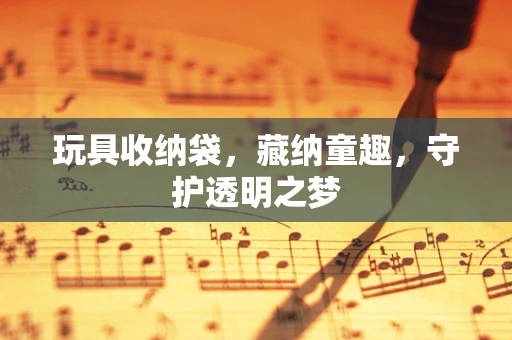 玩具收纳袋，藏纳童趣，守护透明之梦