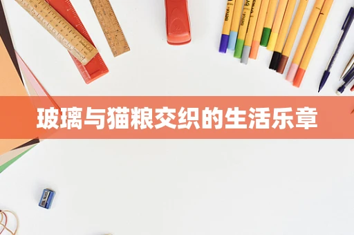 玻璃与猫粮交织的生活乐章