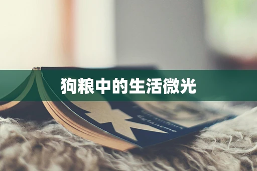 狗粮中的生活微光