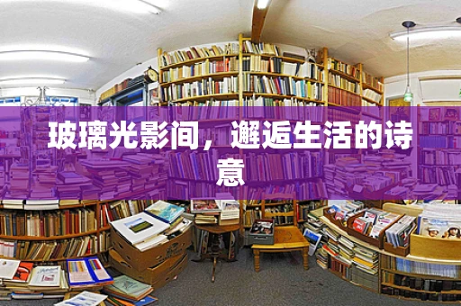 玻璃光影间，邂逅生活的诗意