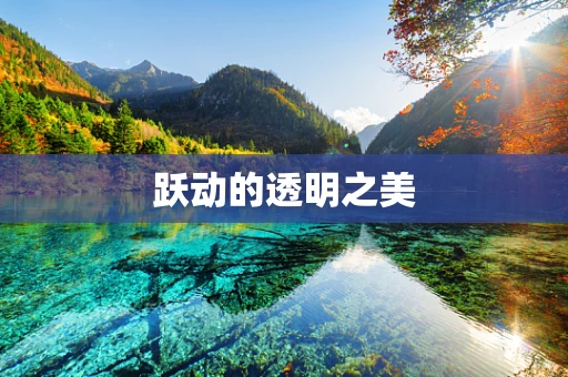 跃动的透明之美