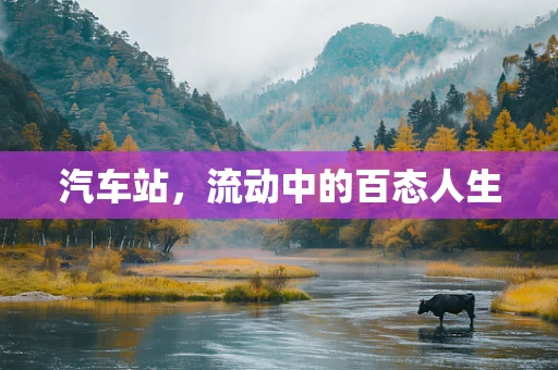 汽车站，流动中的百态人生