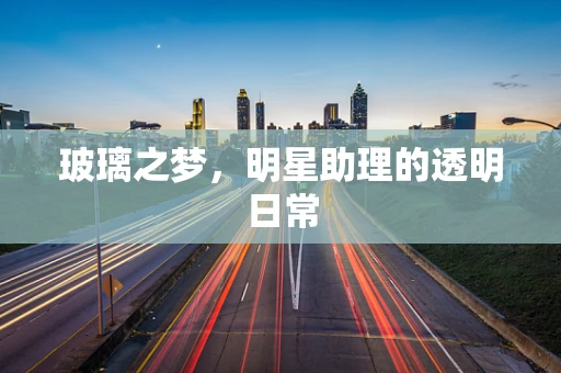 玻璃之梦，明星助理的透明日常