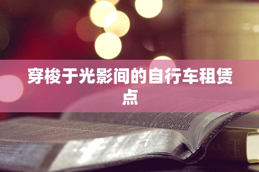 穿梭于光影间的自行车租赁点