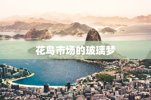 花鸟市场的玻璃梦