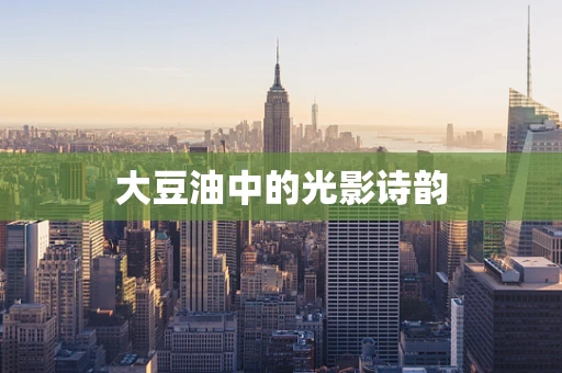 大豆油中的光影诗韵