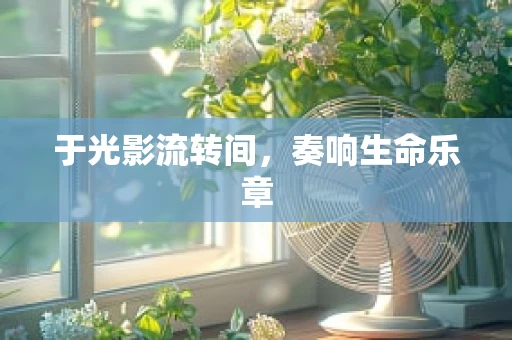 于光影流转间，奏响生命乐章