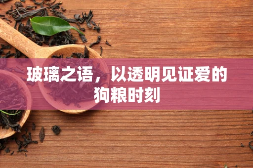 玻璃之语，以透明见证爱的狗粮时刻