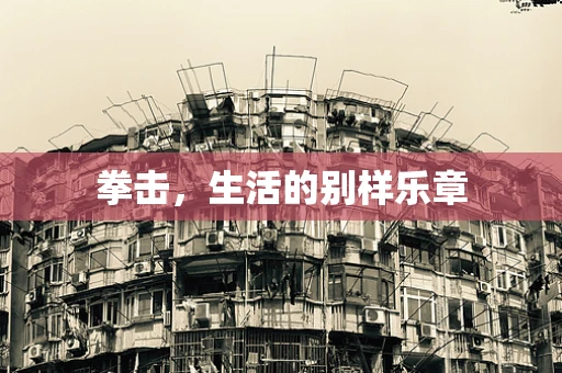 拳击，生活的别样乐章