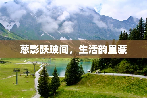 葱影跃玻间，生活韵里藏