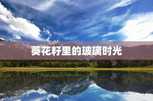 葵花籽里的玻璃时光