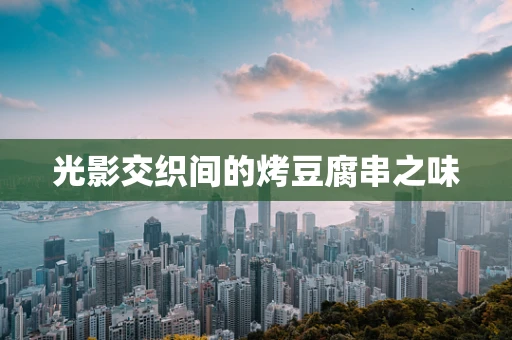 光影交织间的烤豆腐串之味