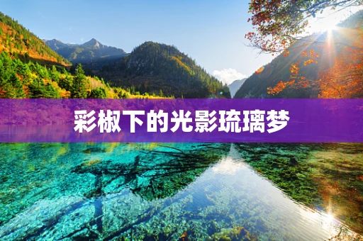 彩椒下的光影琉璃梦