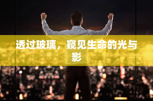 透过玻璃，窥见生命的光与影