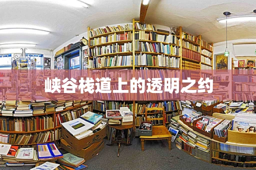 峡谷栈道上的透明之约