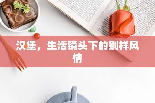 汉堡，生活镜头下的别样风情
