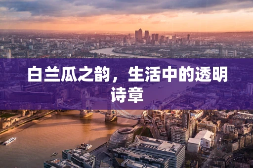 白兰瓜之韵，生活中的透明诗章
