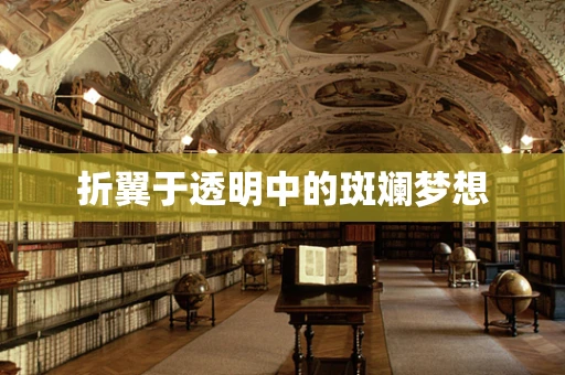 折翼于透明中的斑斓梦想