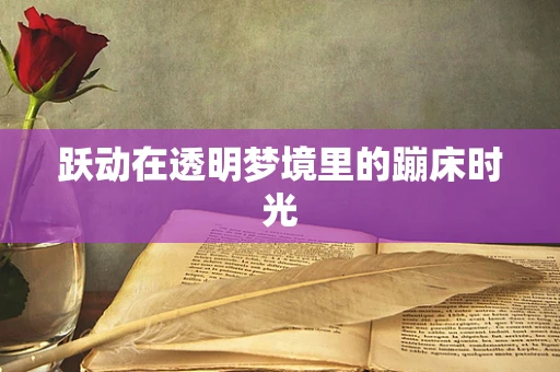 跃动在透明梦境里的蹦床时光