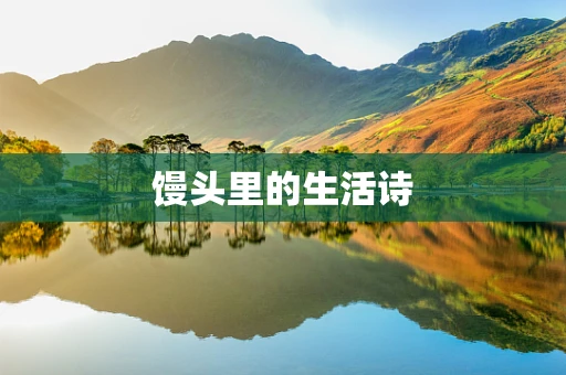 馒头里的生活诗