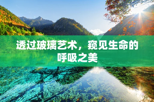 透过玻璃艺术，窥见生命的呼吸之美