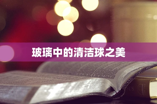 玻璃中的清洁球之美