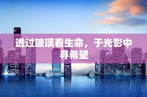 透过玻璃看生命，于光影中寻希望