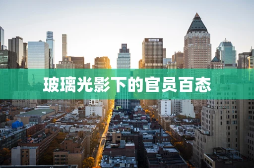 玻璃光影下的官员百态