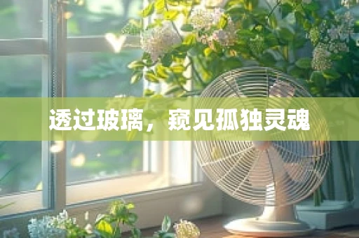 透过玻璃，窥见孤独灵魂